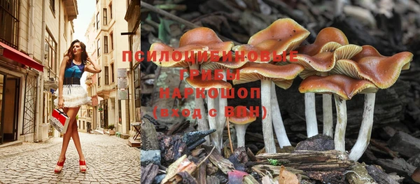 мескалин Гусев