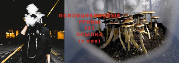 наркотики Гусь-Хрустальный