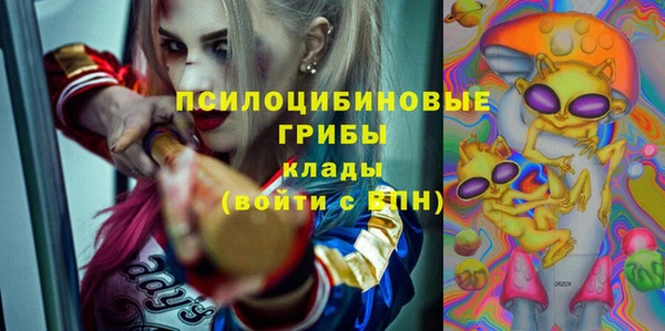 a pvp Гусиноозёрск