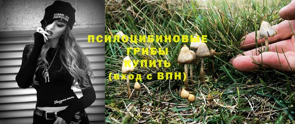 a pvp Гусиноозёрск